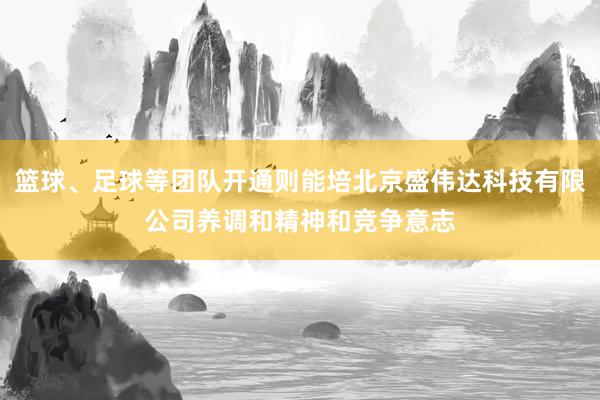 篮球、足球等团队开通则能培北京盛伟达科技有限公司养调和精神和竞争意志