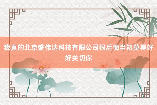 我真的北京盛伟达科技有限公司很后悔当初莫得好好关切你
